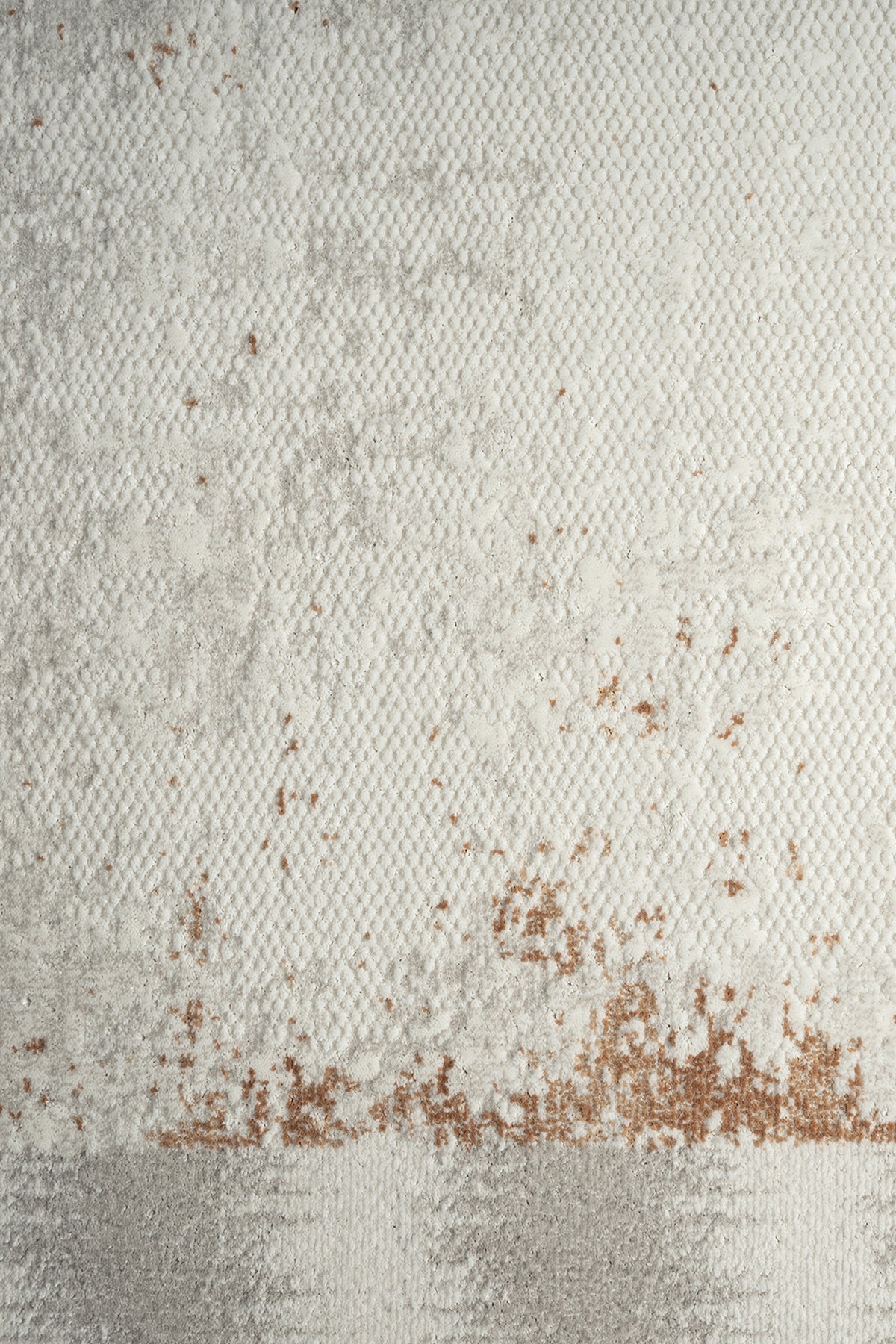 Bischofszel Cream Framed Woll, Cotton Rug